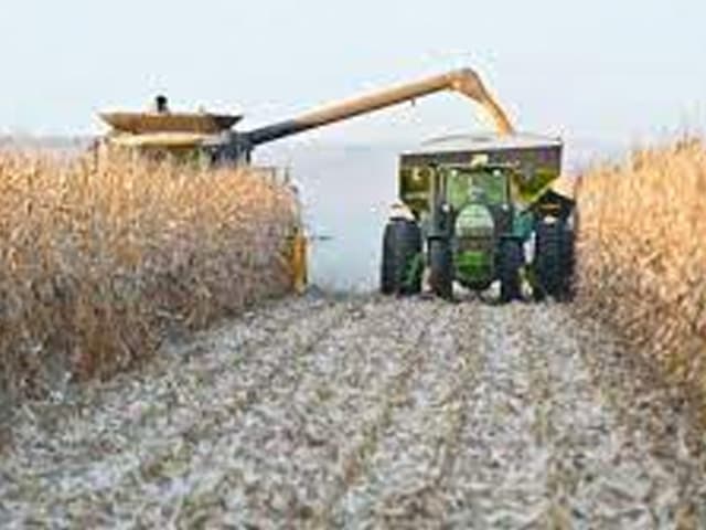 El impacto de la normalidad de las condiciones externas