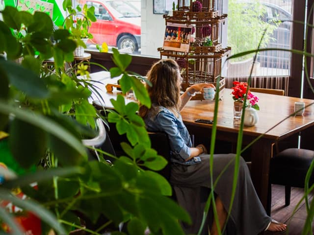 La tendencia a vivir de manera más sustentable