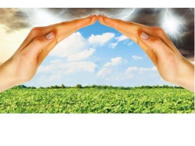 Innovadora idea para el agro de tres aliados en seguros