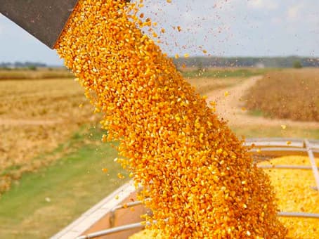 Por ahora, hubo una muy  buena cosecha de dólares