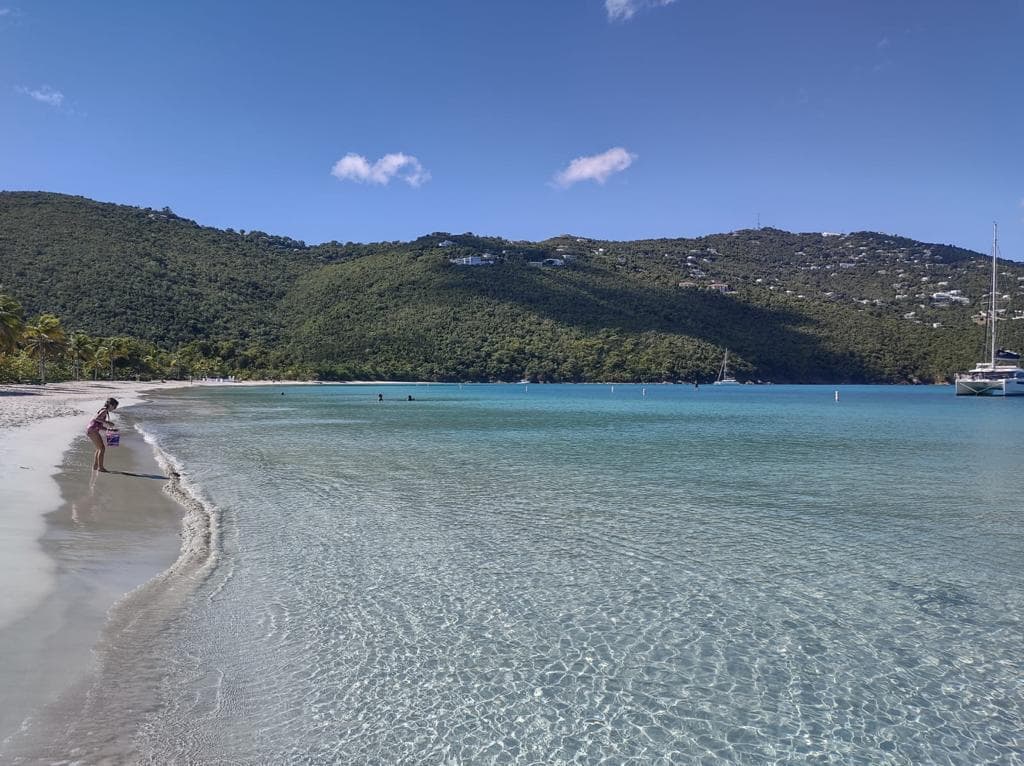 El "Boat Show"; un evento cultural y comercial para desarrollar  en Argentina