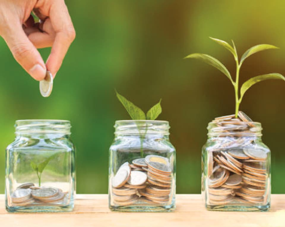 En bioeconomía, el gran cambio ya ha comenzado