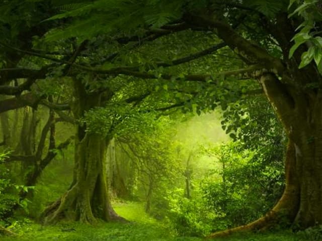 Un necesario análisis de  la balanza ambiental