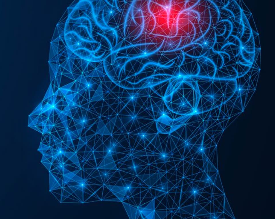 Neuroestimulación para  adelgazar: base científica