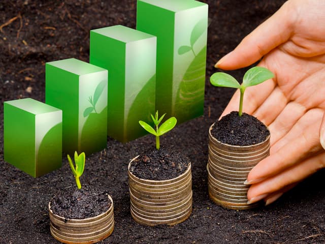 Gestión de la sostenibilidad en las empresas según IDEA