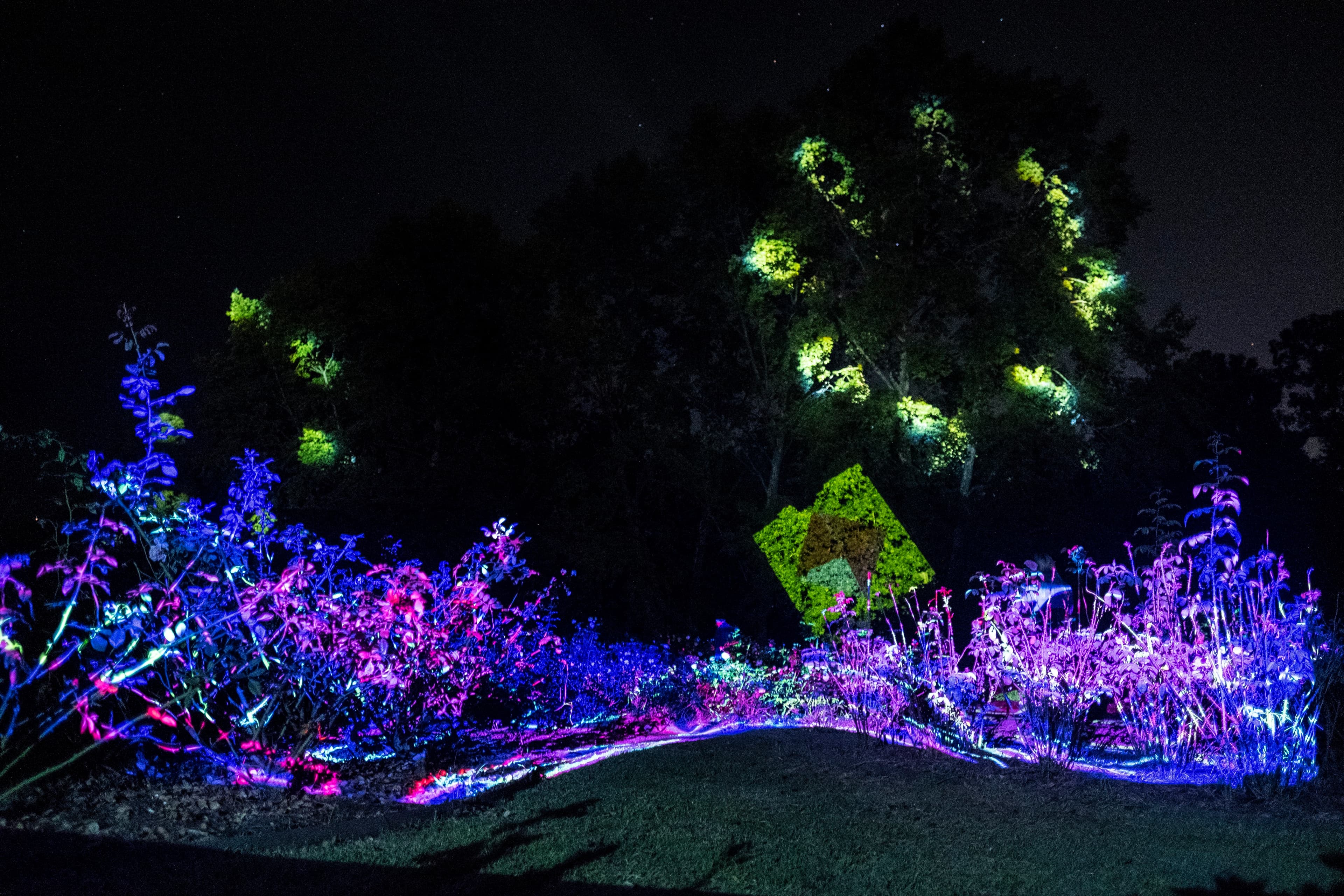 Vuelve XReal, la primera experiencia de arte cinético inmersivo a cielo abierto