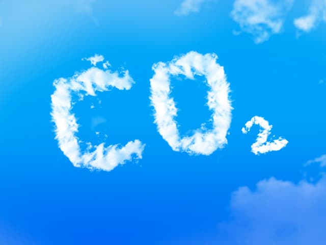 El ingrediente clave para  mitigar el cambio climático