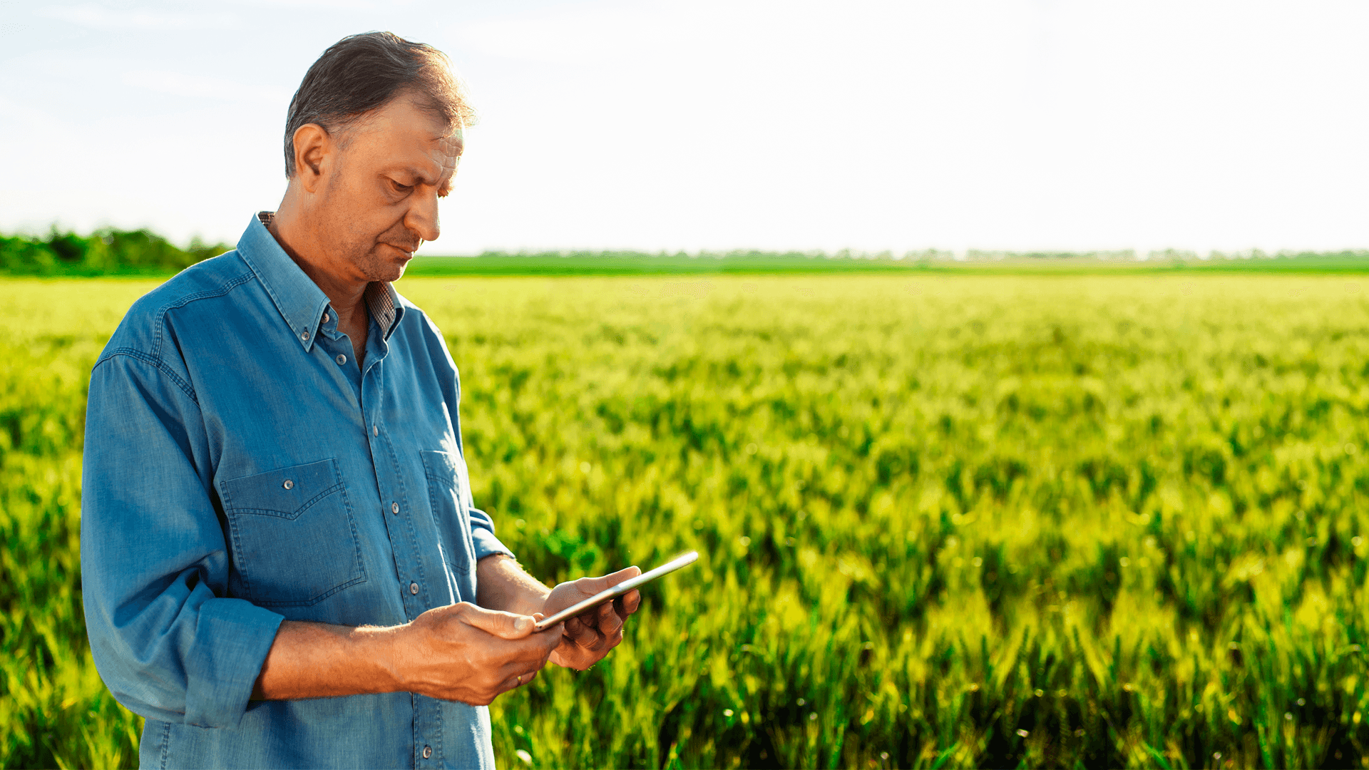 Nueva startup argentina creada para lograr la inclusión digital rural