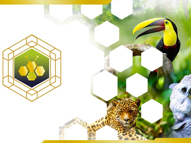 Ecofintechs: su incidencia en dar remedio ambiental