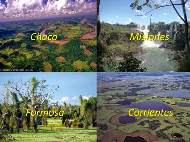 Condicionamientos a la economía del nordeste