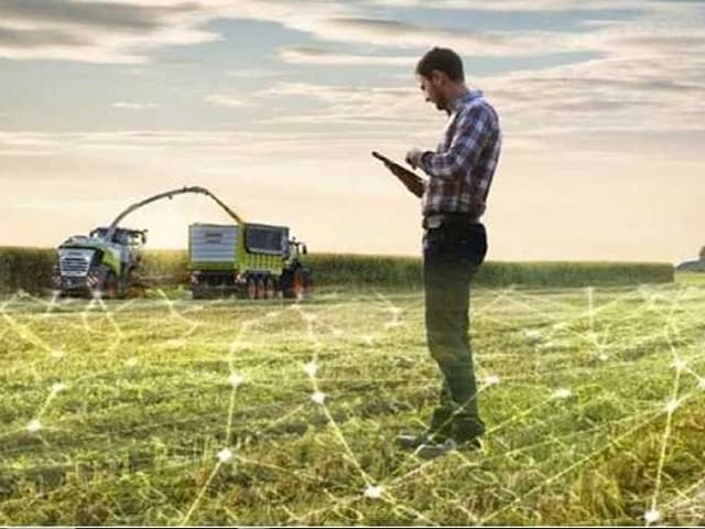 El sector del agro descubre la compra y venta online
