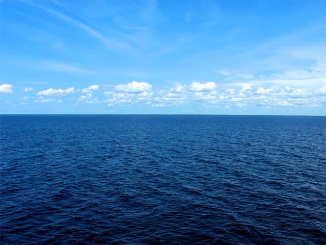 El mar, un laboratorio del que obtener medicamentos