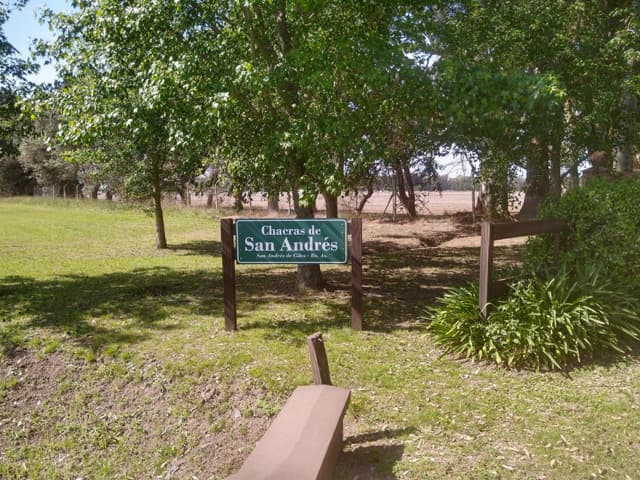 El nuevo lujo: elegir desde dónde y cómo se trabaja