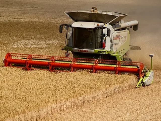 Los mercados caen y los commodities se disparan