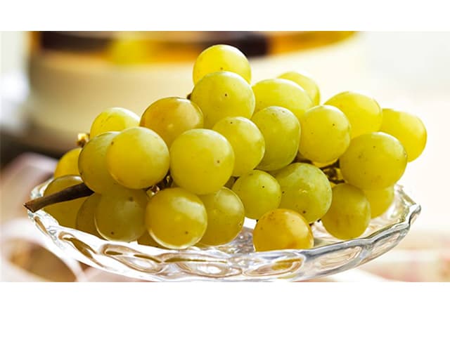 Opción: cuidar del planeta o cuidar de las personas