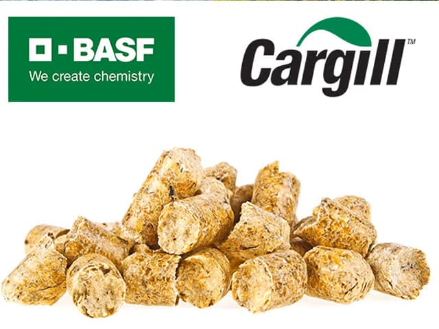BASF y Cargill se asocian para impulsar soluciones innovadoras