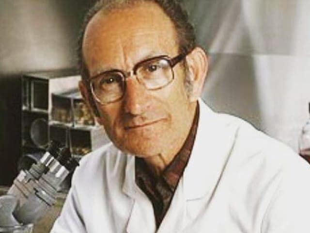 La medicina actual no existiría sin anticuerpos monoclonales