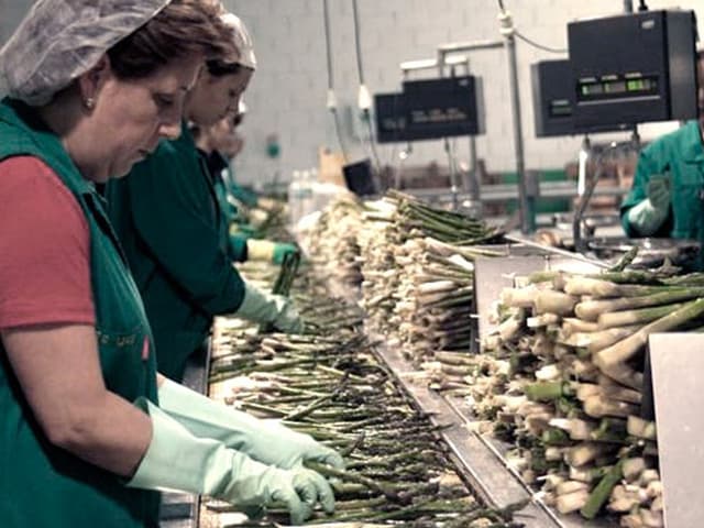 Más de 4 millones de mujeres con dificultades laborales