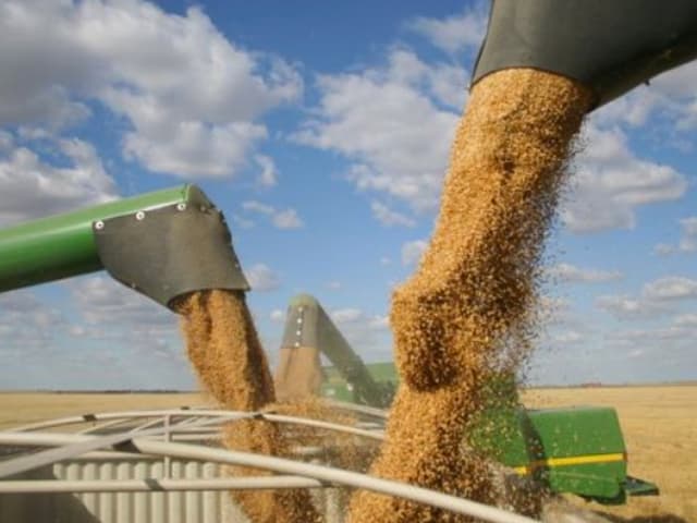 Impacto local de la guerra y el boom de commodities