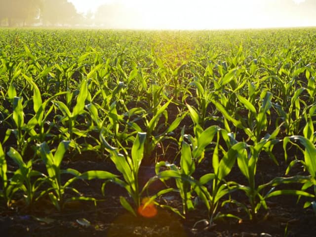 Dentro de extremos climáticos más complejos y frecuentes