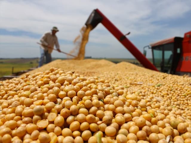 Interrogantes pendientes sobre la actividad económica local