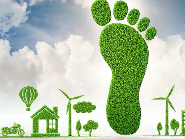 Preocupación local por el ambiente y la contaminación