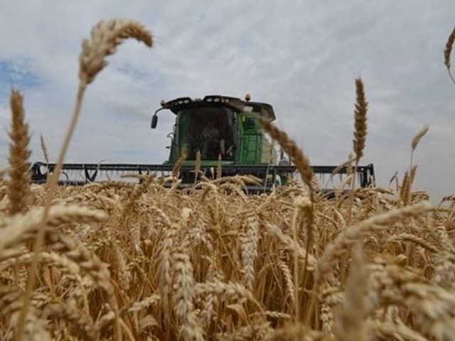 Precios mundiales en alza: ¿Qué provincias se benefician?