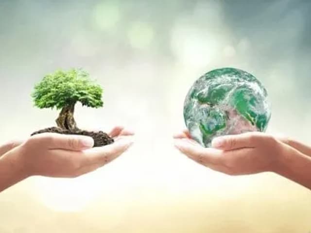 Día de la Tierra: el impacto  de los residuos en el planeta