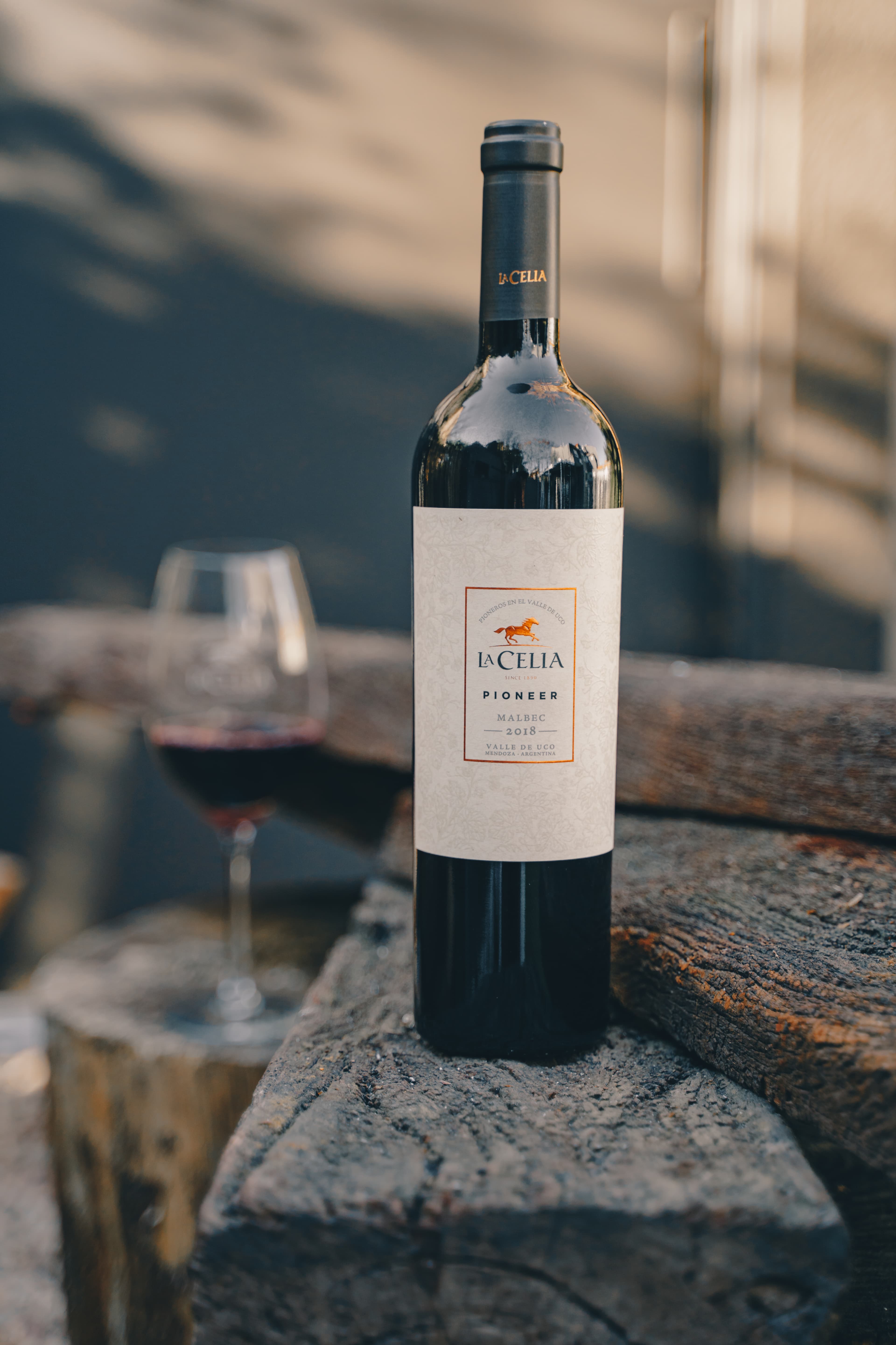 Valle de Uco: un sello de calidad para el Malbec argentino en el mundo