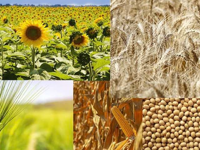 Suben los commodities pero también suben los costos