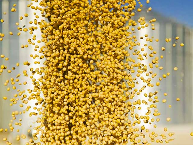 Agenda pendiente de las exportaciones argentinas