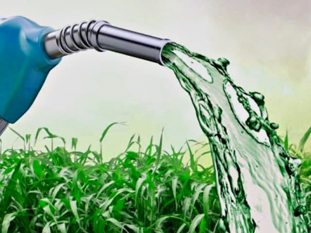 Piden debilitar los lazos entre energía y alimentos