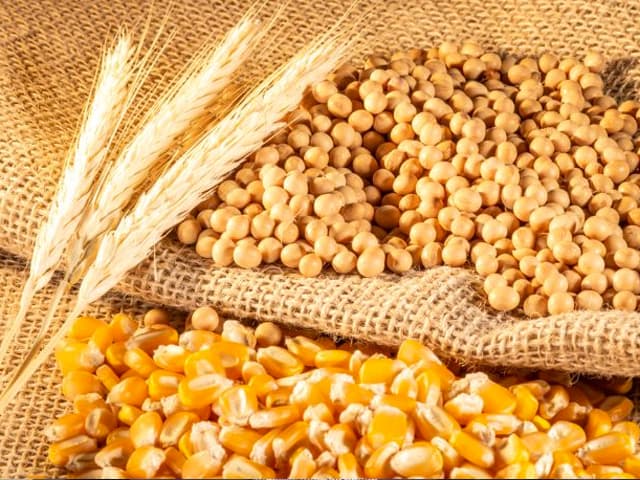 Factores que explican el auge de las commodities agrícolas