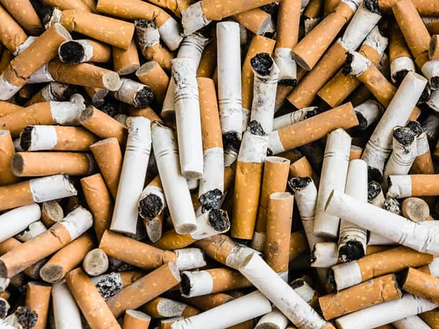El tabaco destroza pulmones y castiga al medio ambiente