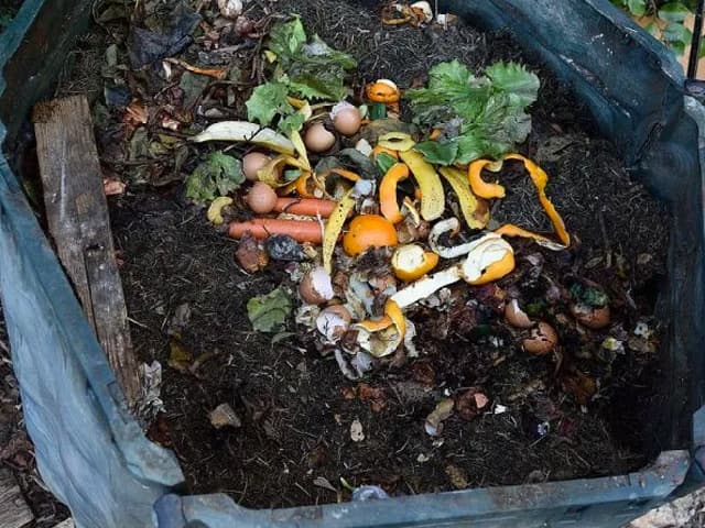 Sustentabilidad básica para la vida cotidiana