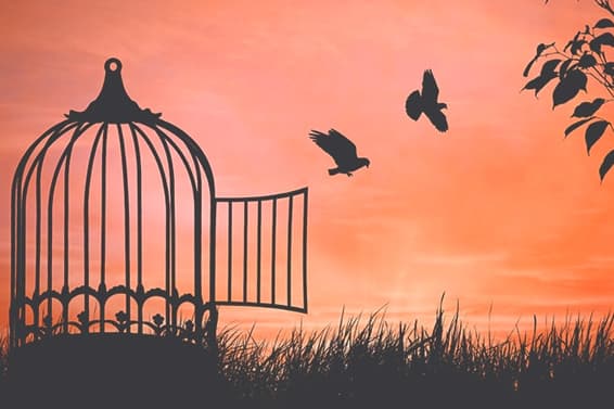 No hay definición unánime en torno a la palabra libertad