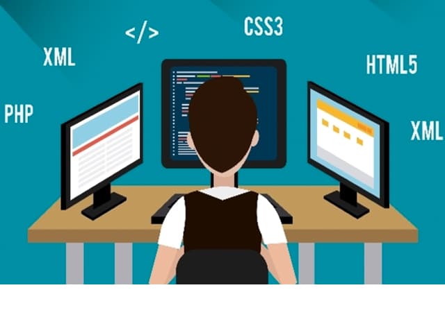 8 de cada 10 busca salida  laboral en la programación