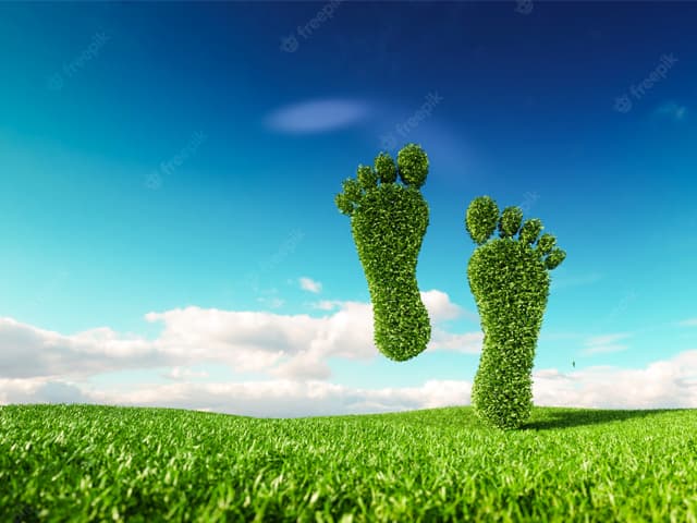 Medio Ambiente: el desafío es vivir de modo sostenible