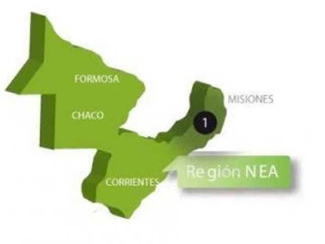 Distinta dinámica de crecimiento en las exportaciones del NEA