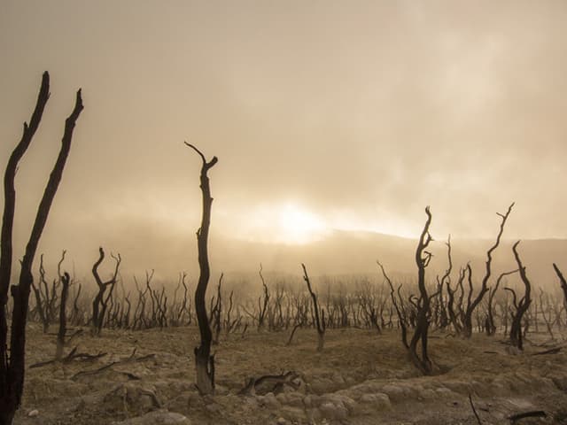 Desertificación: grave problema ambiental