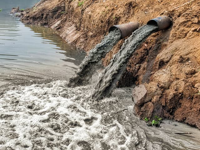 Proponen incorporar el  ecocidio al Código Penal