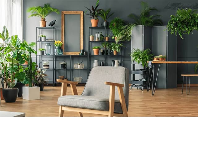 Los argentinos y el vínculo con el hogar