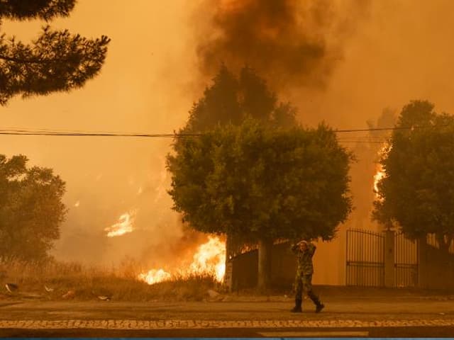 ¿Son las olas de calor cada vez más intensas?