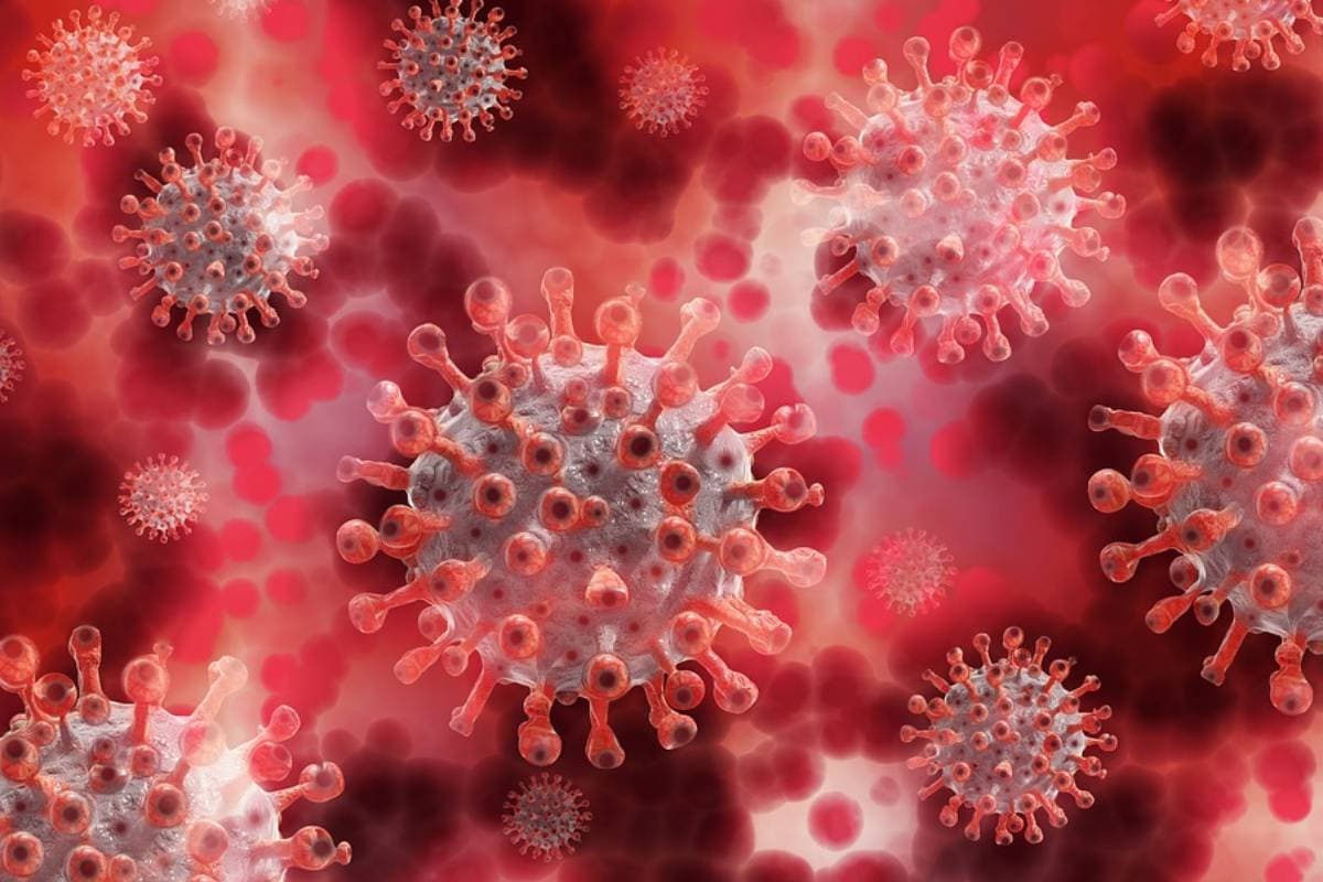 Alerta en China por un nuevo virus que infecta a humanos