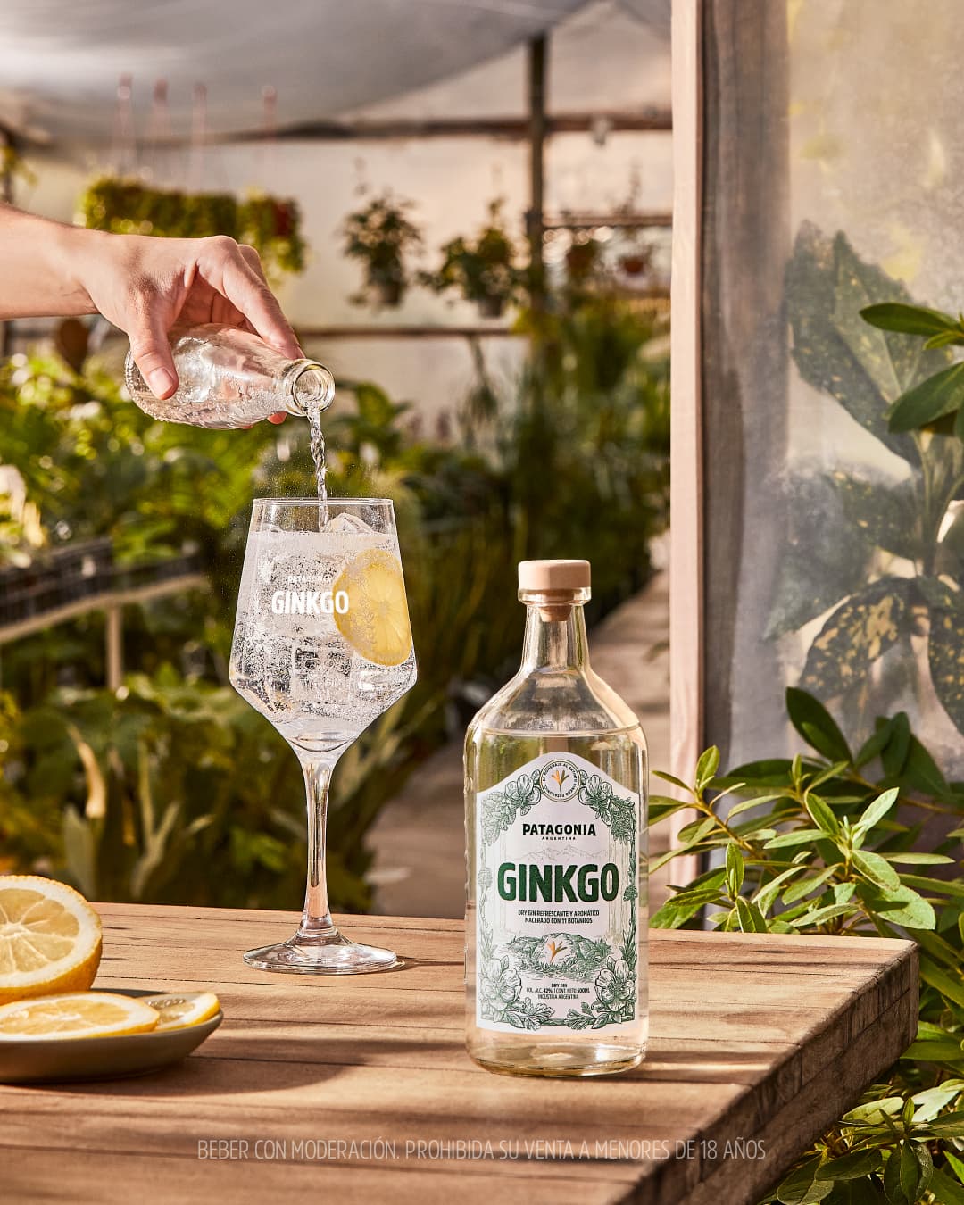 Ginkgo: el dry gin de Cerveza Patagonia
