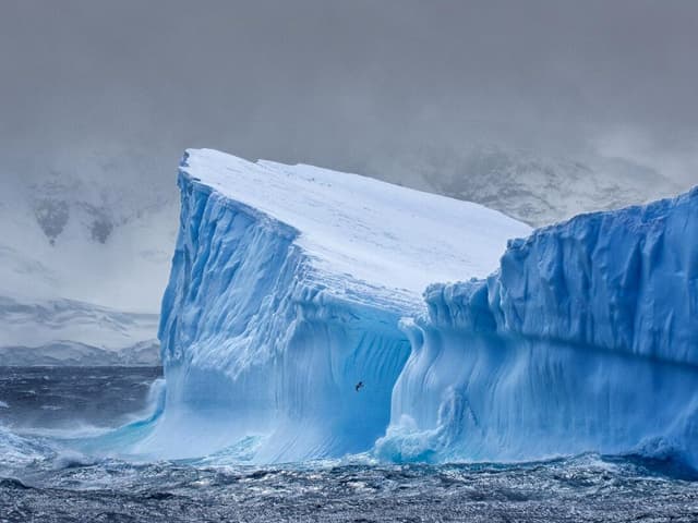 Malas noticias: se derrite  la capa de hielo antártico