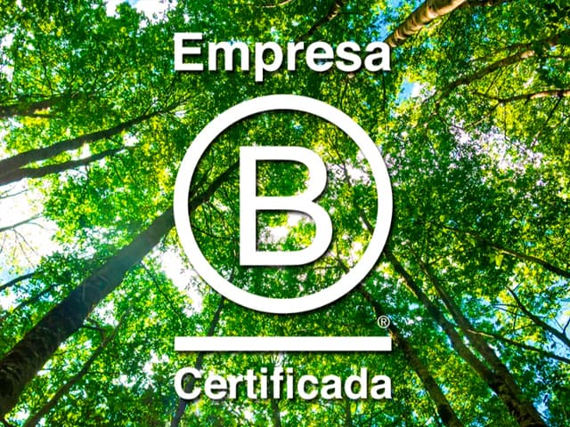 Las Empresas B: ¿Qué  son y qué se proponen