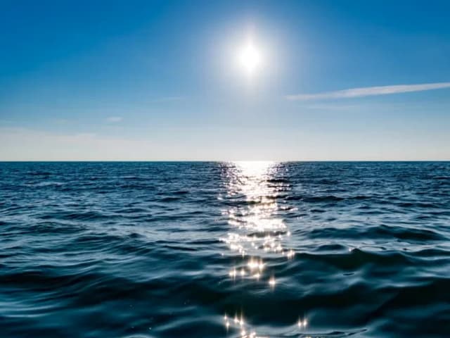 Biodiversidad marina en el Tratado de los Océanos