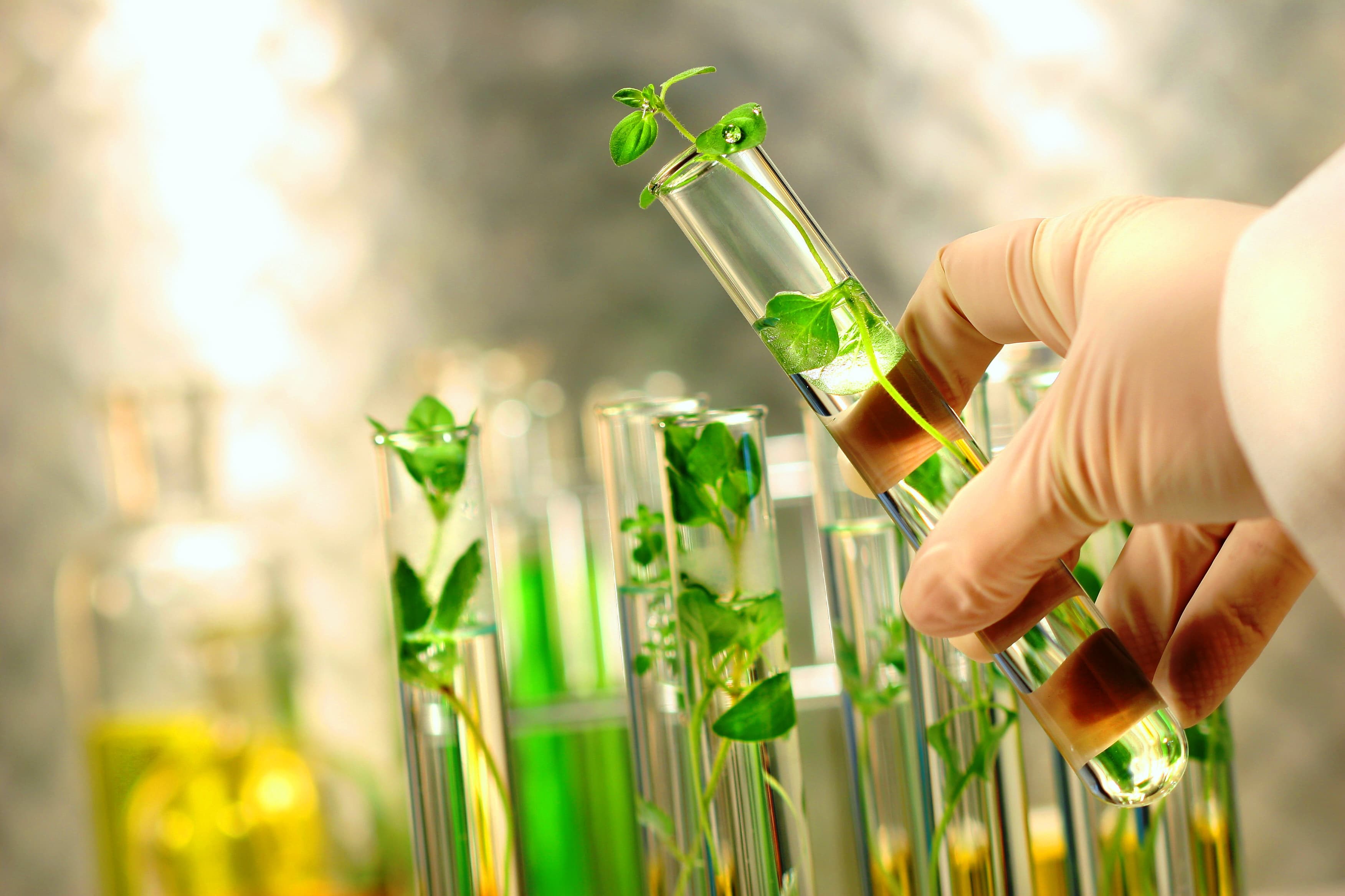 Nueva universidad local dedicada a la biociencia