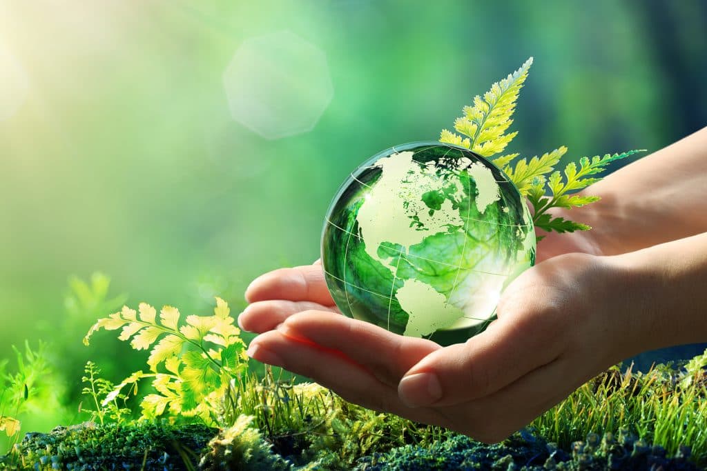 Compromiso de las empresas con el cuidado del ambiente